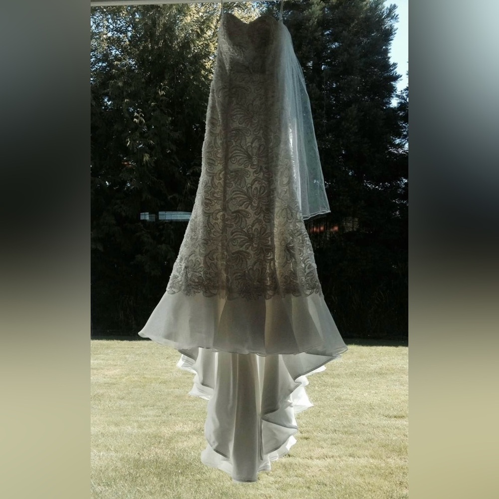 Stunning Mermaid Wedding Dress